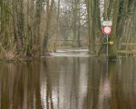 Floods in Saxony in 2008