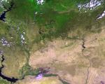 Satellites, such as ESA's Proba-V, can monitor vegetation intactness from space.
