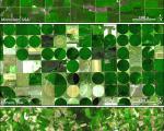Satellite picture crop seeds