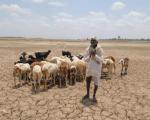 During drought even drinking water can become scarce in Maharashtra (Image: Hemant Mishra/Mint)