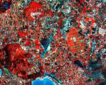 Image captured by Sentinel-2A satellite on the vegetation of Northwest Sardinia, Italy (Source: ESA)
