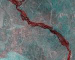 Mapping floods in Nigeria using Sentinel-1 satellite images (Image: International Water Institute).
