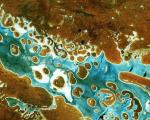 Sentinel-2A captured Lake Amadeus in Australia’s Northern Territory