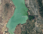 Utah Lake, captured by NASA/USGS's Landsat 8, June 20, 2017. The darker green area shows the highest concentration of algal blooms. Image: NASA.