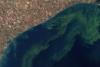 Toxic algal bloom in lake Erie (Imagine: NASA)