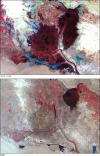 Landsat satellite shows the vanishing wetlands in the Arab Region