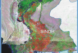 SUPARCO publishes Report on Rapid Crop Damage Assessment