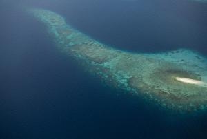 Asia/Pacific is the area of the Earth most frequently and heavily affected.