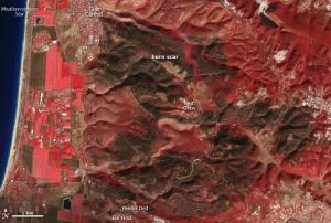 Thermal image of Israel after a wild fire