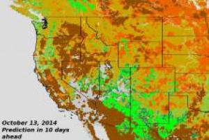 Foliage Phase Prediction Derived from VIIRS NDVI