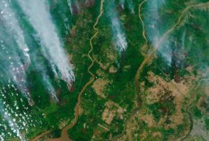 The Copernicus Sentinel-2 mission captured the fires over Borneo on 13 September 2019. Image: contains modified Copernicus Sentinel data (2019), processed by ESA, CC BY-SA 3.0 IGO.