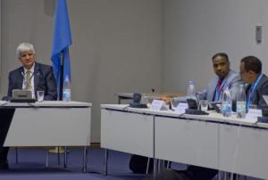 UN-SPIDER International Expert Meeting discusses use of big space data for disaster risk reduction and emergency reponse in Africa