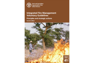 FAO Fire Management Publication