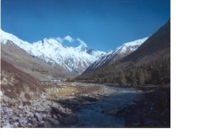 he ultimate goal of this portal is to provide information