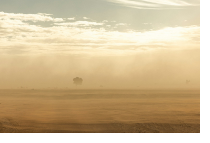 Credit: Armands Brants / Unsplash