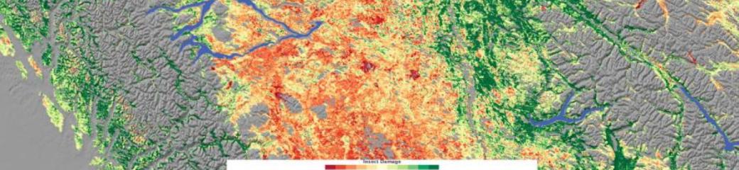 Relying on a variety of data sources, including observations by NASA’s Moderate Resolution Imaging Spectroradiometer (MODIS), Jon Ranson and Paul Montesano of NASA’s Goddard Space Flight Center conducted a survey of insect-damaged forests in British Columbia. This image shows their assessment of insect damage overlain on a topography map. In this image, red indicates the most severe damage, and green indicates no damage. Gray indicates non-forested areas. Image: NASA map by Robert Simmon.